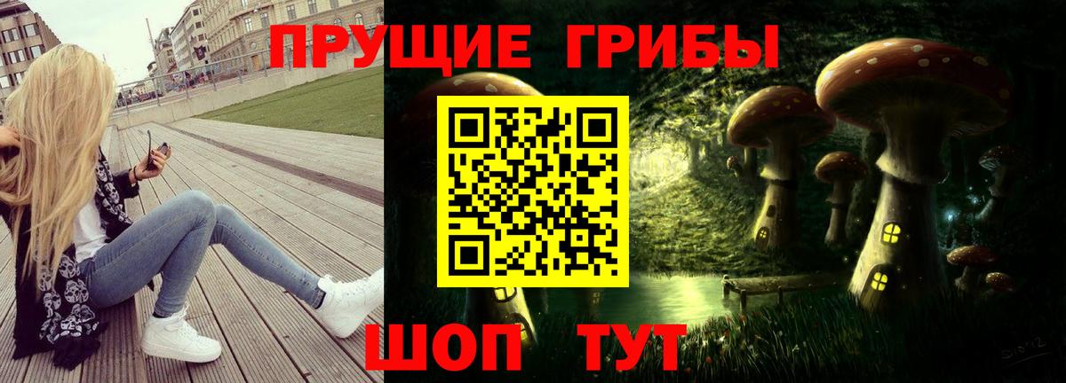 где можно купить наркотик  Вход с VPN  Нальчик  Галлюциногенные грибы GOLDEN TEACHER  Псилоцибиновые грибы MAGIC MUSHROOMS 